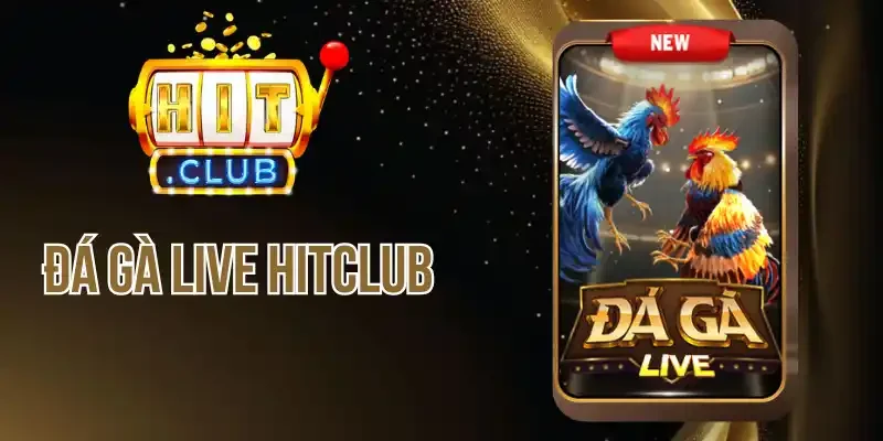 Đôi nét chung về game đá gà live của Hitclub