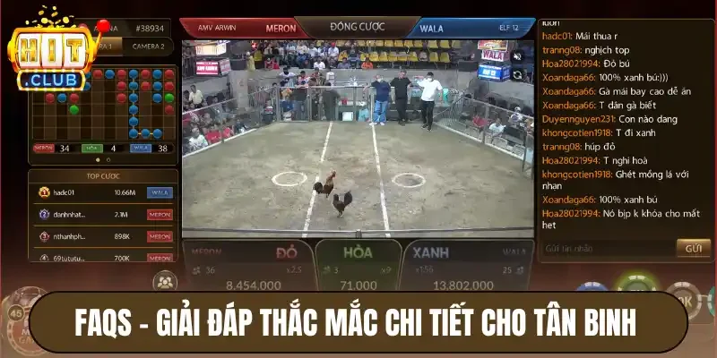 FAQs - Giải đáp thắc mắc chi tiết cho tân binh