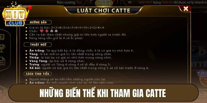 Những biến thể khi tham gia Catte