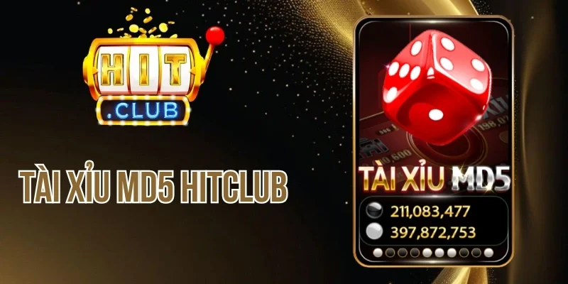 Kiểm tra kết quả tài xỉu MD5 Hitclub