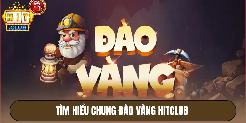 Tìm hiểu chung đào vàng Hitclub